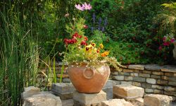 Lorem ipsum dolor sit