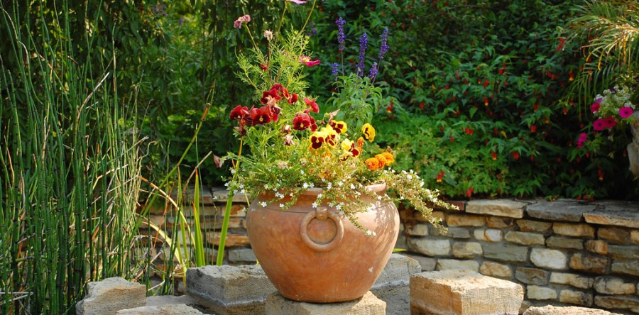 Lorem ipsum dolor sit