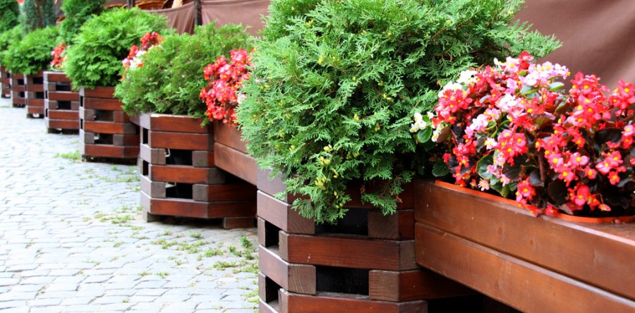 Etiam commodo convallis