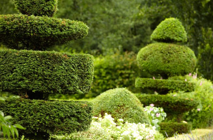 Sed blandit massa vel