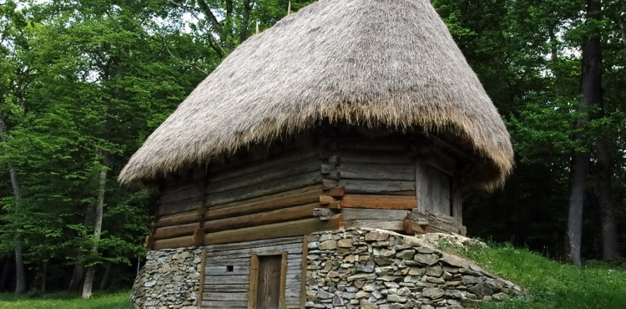 Etiam dictum egestas