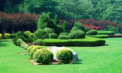 Meras deloreas fertasete crertas erta mio