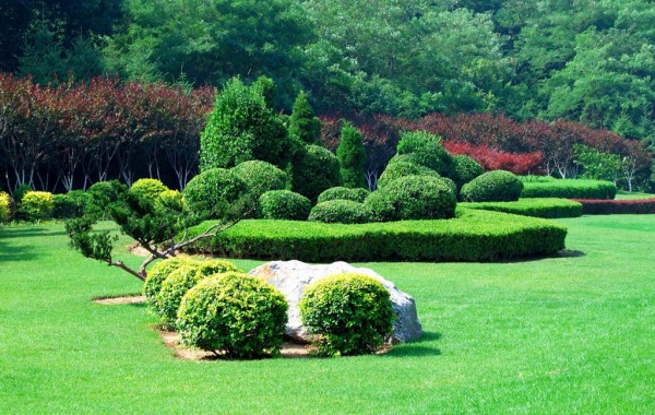 Meras deloreas fertasete crertas erta mio