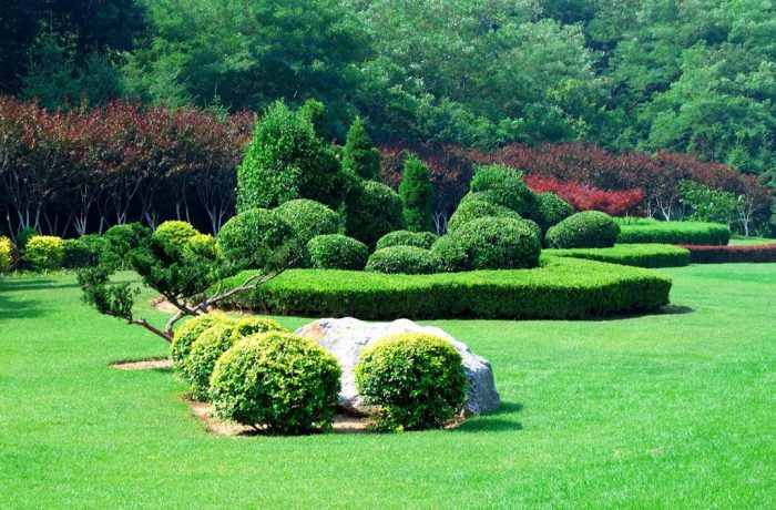 Meras deloreas fertasete crertas erta mio