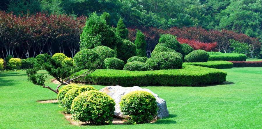 Meras deloreas fertasete crertas erta mio