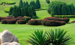 Nertkeas ertyus erserate setyse kertya