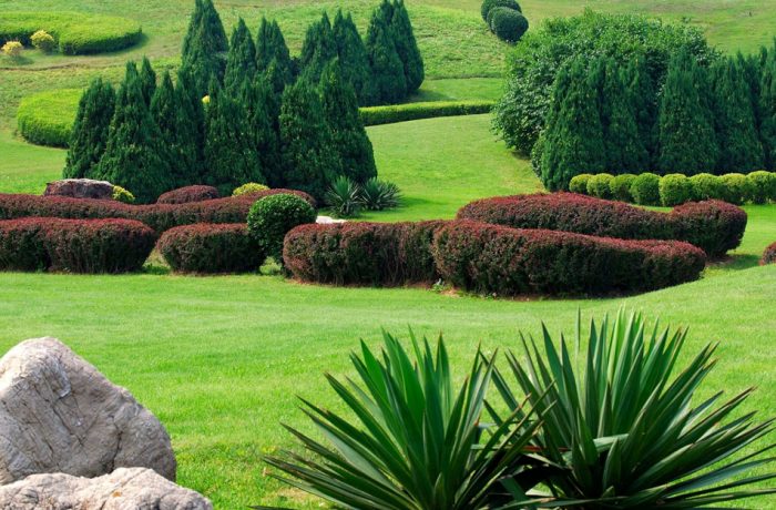 Nertkeas ertyus erserate setyse kertya