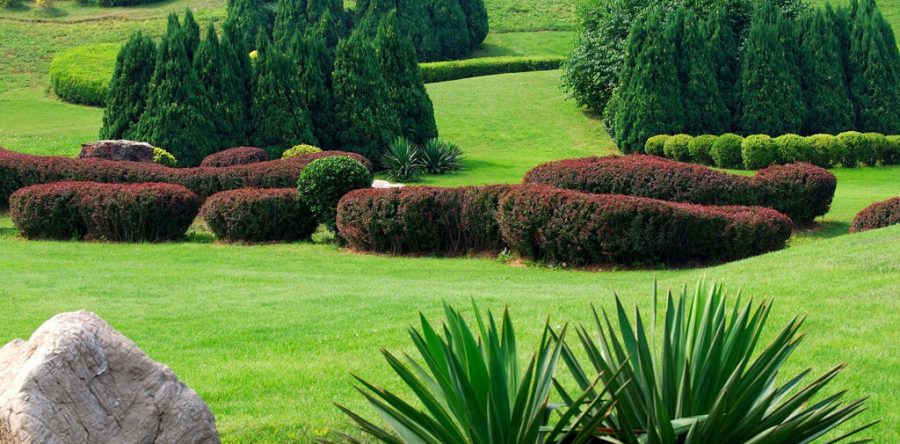 Nertkeas ertyus erserate setyse kertya