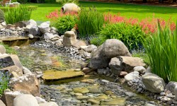 Comodi consequatur duis autem veleum