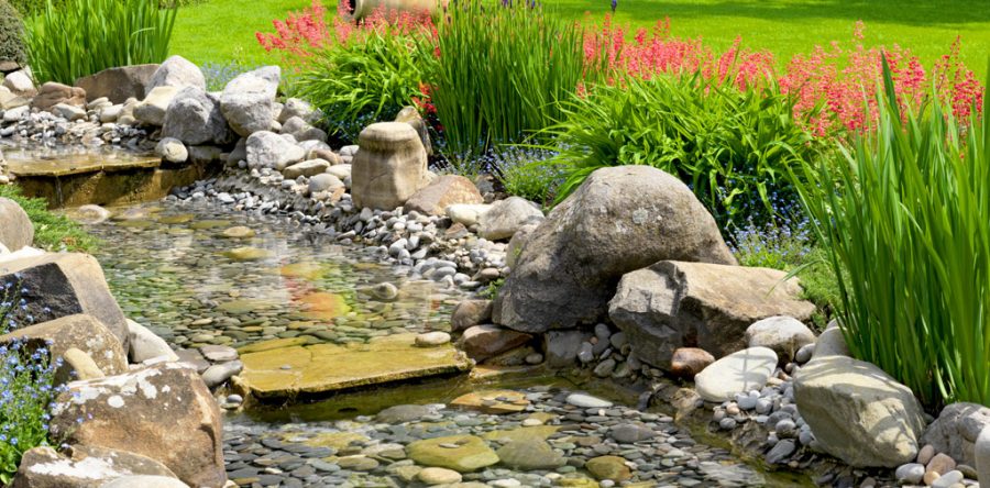 Comodi consequatur duis autem veleum